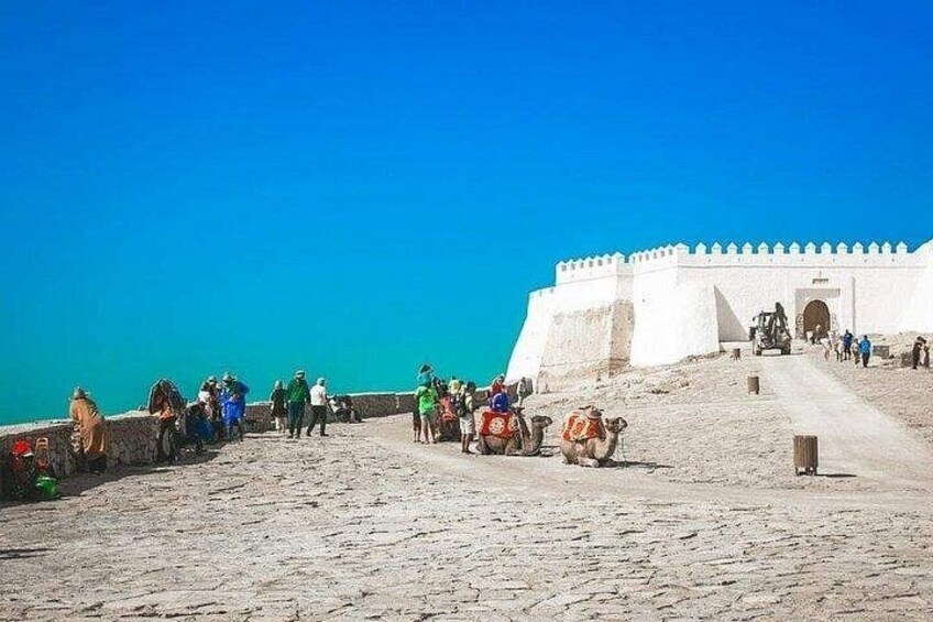 Une fortification côtière où l’on peut voir des touristes et des chameaux. 5