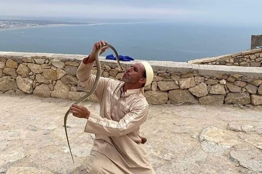 A person holding a snake on a stone platform with a view of the sea in the background. 5
