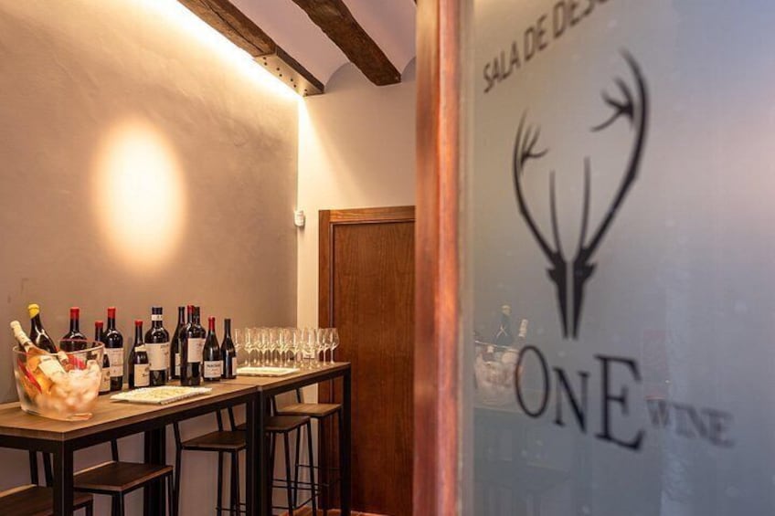 Private Wine Tasting Experience in Araba Spain 4