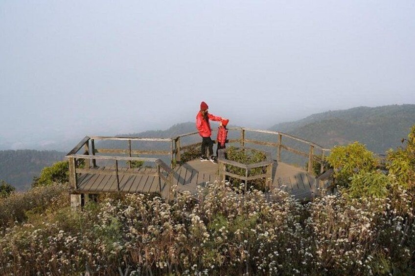 A wooden observation deck with a person and a child standing on it, overlooking a valley with wildflowers and hills in the background. 3