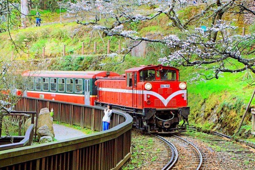 Fenqihu Old Street & Alishan | Exclusive Complimentary Day Tour 1