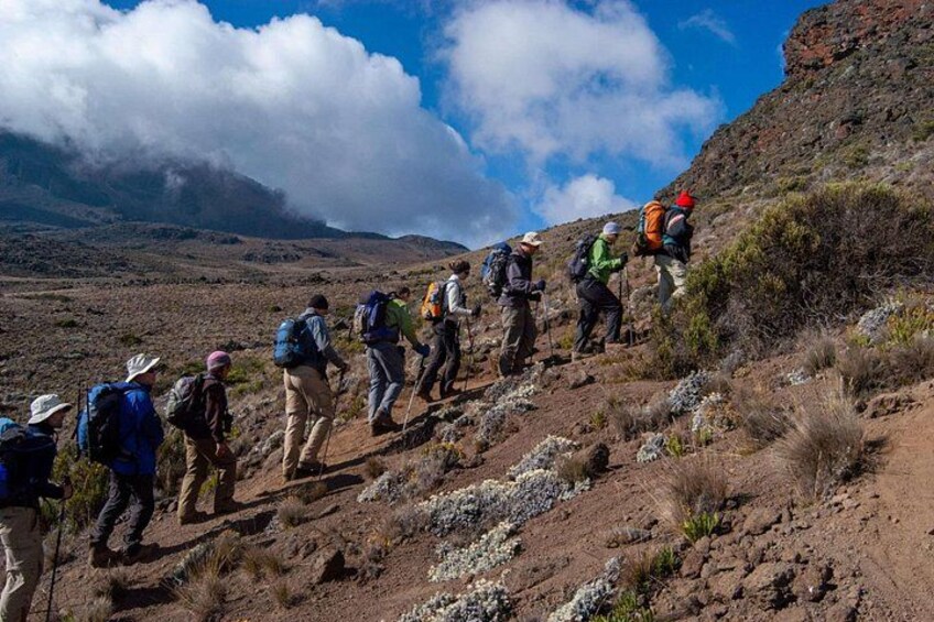 A group of hikers ascending a rocky hillside with sparse vegetation. 3