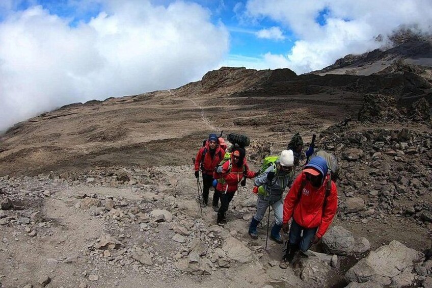 1 Day Mount Kenya National Park Hike Through Narumoro Route 4