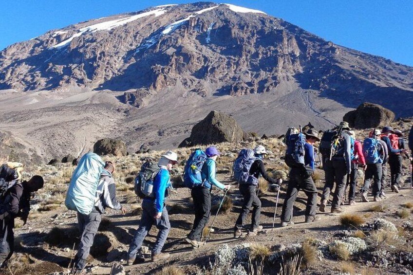 1 Day Mount Kenya National Park Hike Through Narumoro Route 2