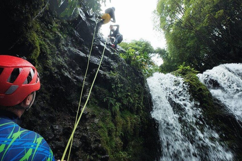 A person rappelling down a rocky cliff with a rope, surrounded by lush greenery and a waterfall. 3