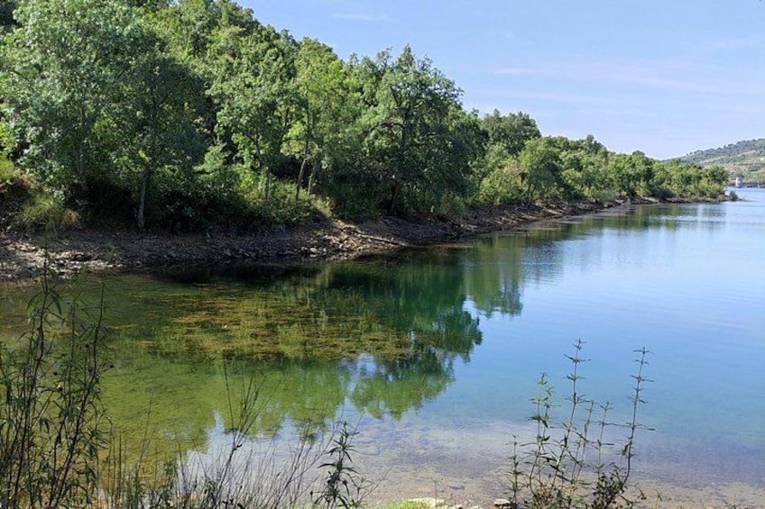 En rolig flod med klart vand der spejler den omkringliggende vegetation og træer. 1