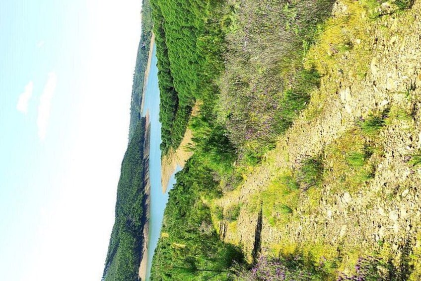 En flod slynger sig gennem en skovdal med en klippeudspringning på højre side. 3