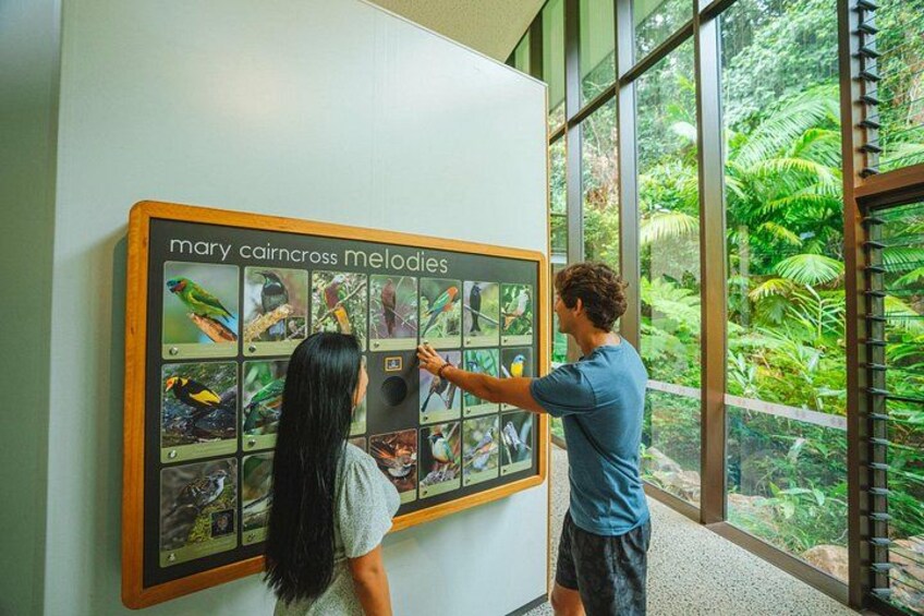Mary Cairncross Scenic Reserve Rainforest Discovery Centre 2