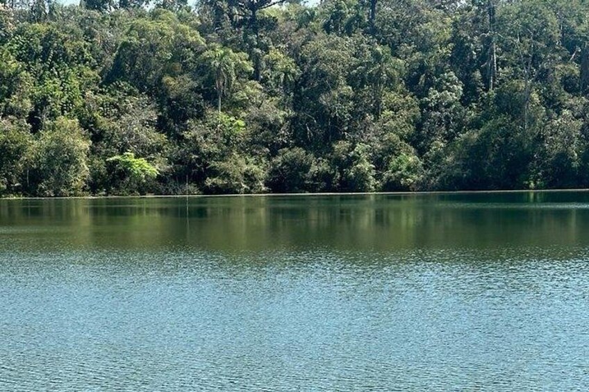 Ein stiller See, umgeben von dichtem Wald. 4