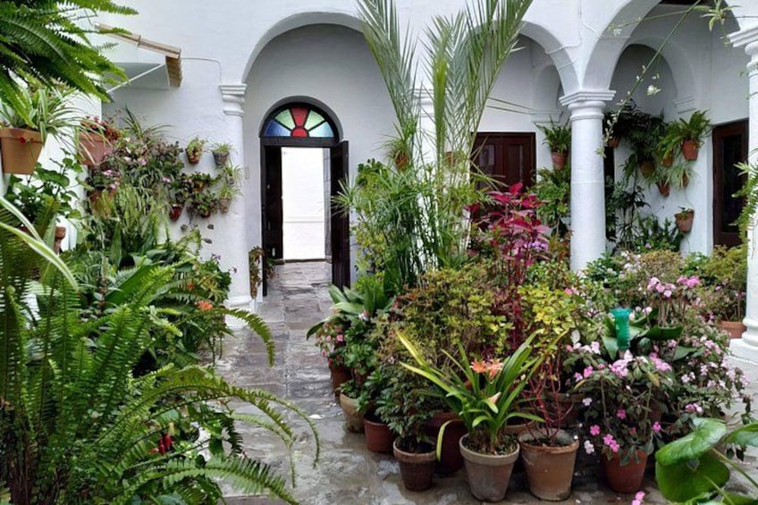 Vejer de la Frontera: The White Pearl of Andalusia Audio Guide 3
