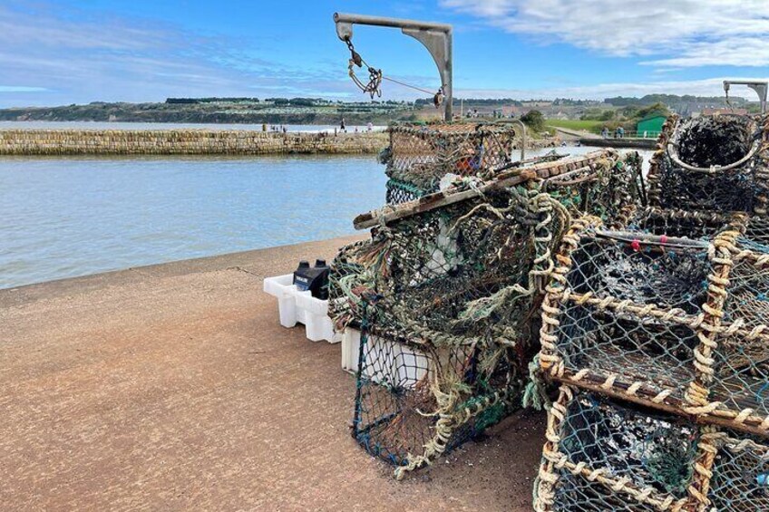 St Andrews Harbour