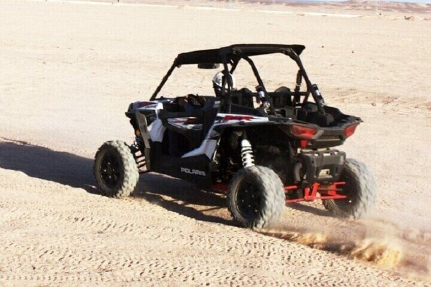 Exciting Buggy Adventure in Palmeraie with Transfers - Marrakesh