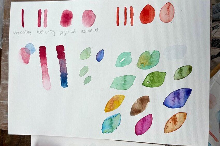 Una pintura a la acuarela con muestras de color y etiquetas de texto. 5