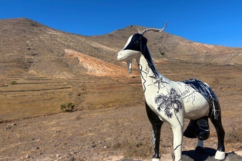Fuerteventura: Explore the North’s Hidden Gems & Beach Time 5