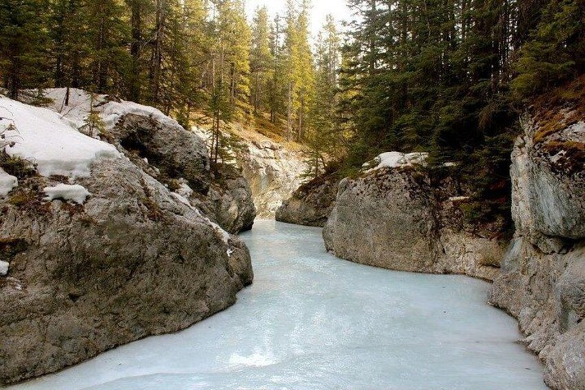 Un río congelado rodeado de grandes rocas y un bosque denso. 4