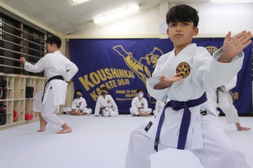 Tokyo Karate Experience (Family Friendly) with Karate Champion 1
