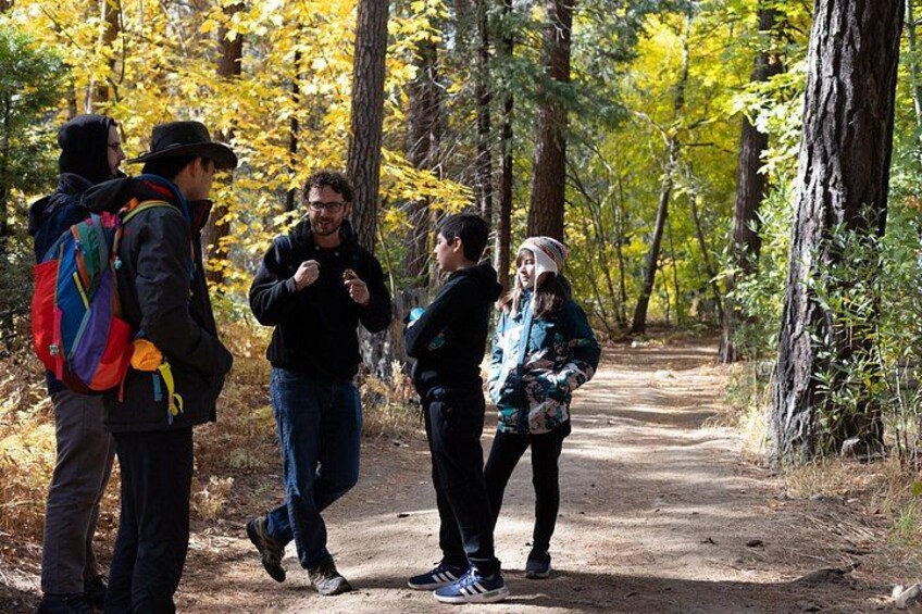 The Evolution of Yosemite: 3-Hour Walking Tour 1