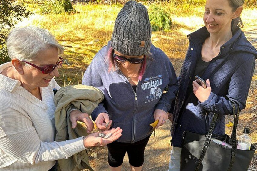 The Evolution of Yosemite: 3-Hour Walking Tour 5