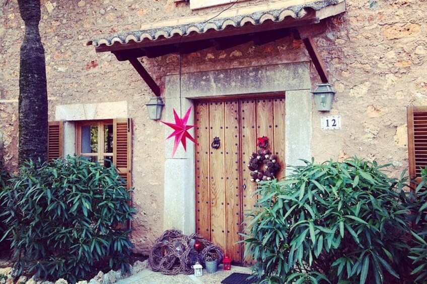Private Mallorca Shore Excursion Wine Tasting and Sightseeing 3