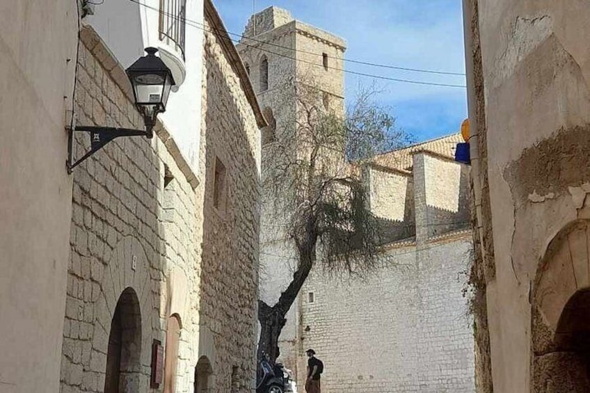 OFFSHORE Private Guided Tour in Ibiza -Unesco old town & beaches 4