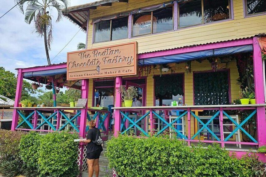 Glass Bottom Boat, WildLife, Chocolate, Rum Tasting Combo 4