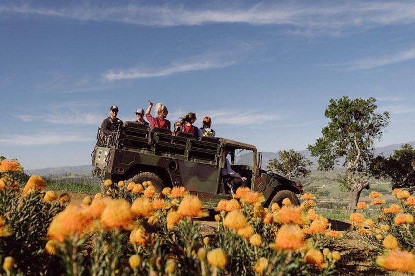 A vehicle with people on a field of orange flowers. 2
