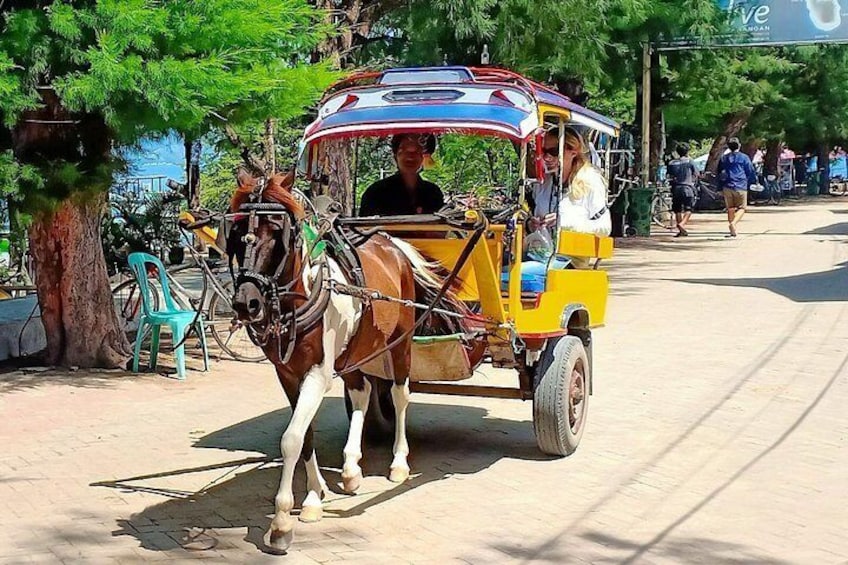 Un carruaje tirado por caballos con cochero, un árbol y una acera para peatones. 3