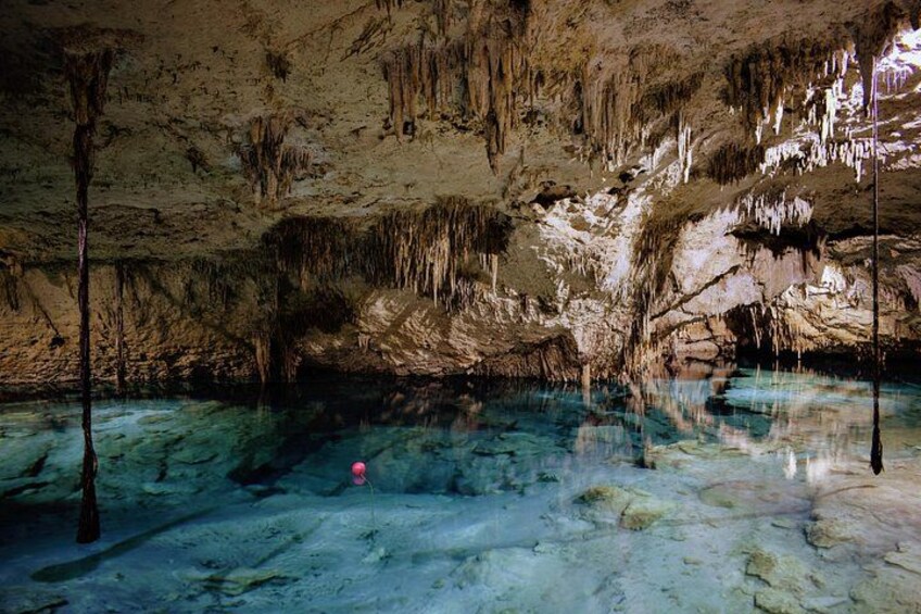 Private Cenote & Snorkeling Tour with Turtles in Akumal 5