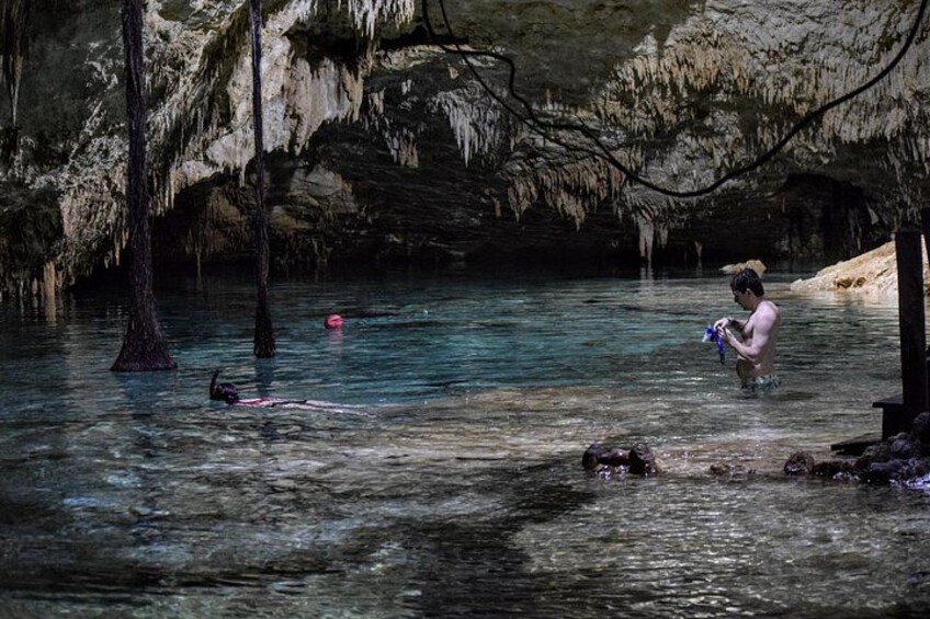 Private Cenote & Snorkeling Tour with Turtles in Akumal 3