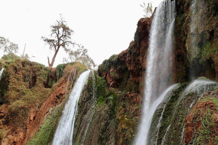 Une cascade composée de plusieurs ruisseaux qui dévalent une falaise rocheuse, le tout étant entouré de verdure et d’un arbre isolé. 4