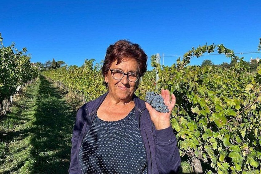 Discover Italian Wines at Tenuta La Viola with 6 Wine Tastings 2