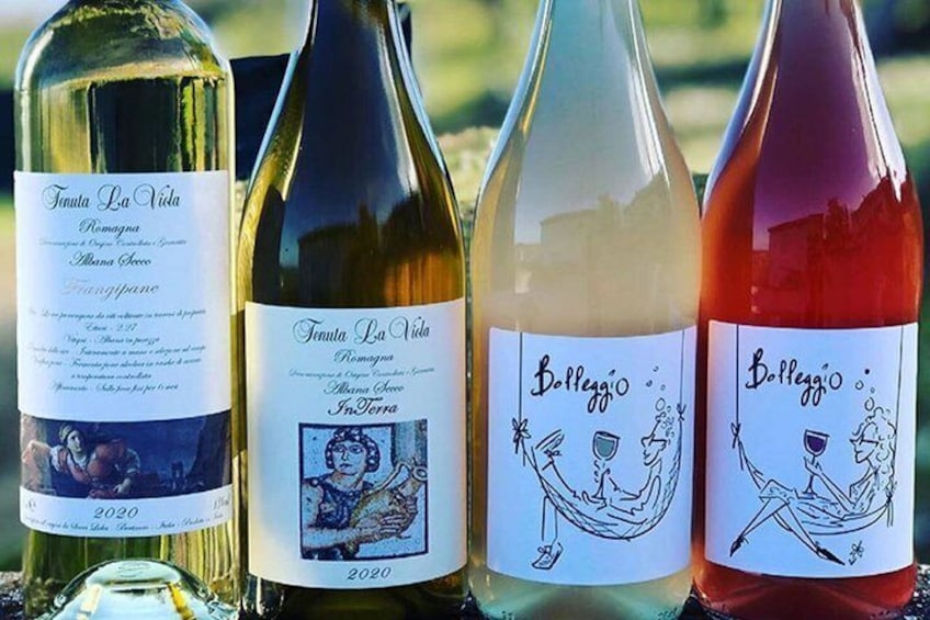 Discover Italian Wines at Tenuta La Viola with 6 Wine Tastings 5