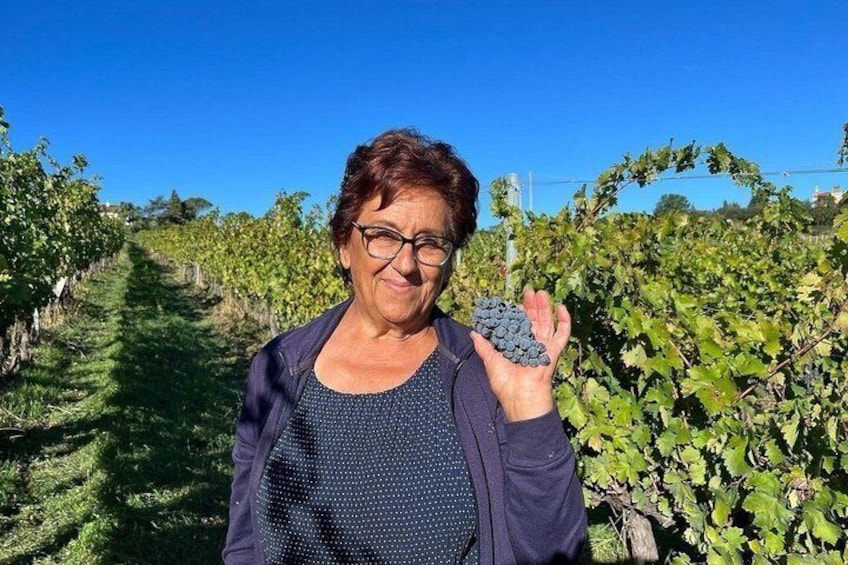 Discover Italian Wines at Tenuta La Viola with 6 Wine Tastings 3