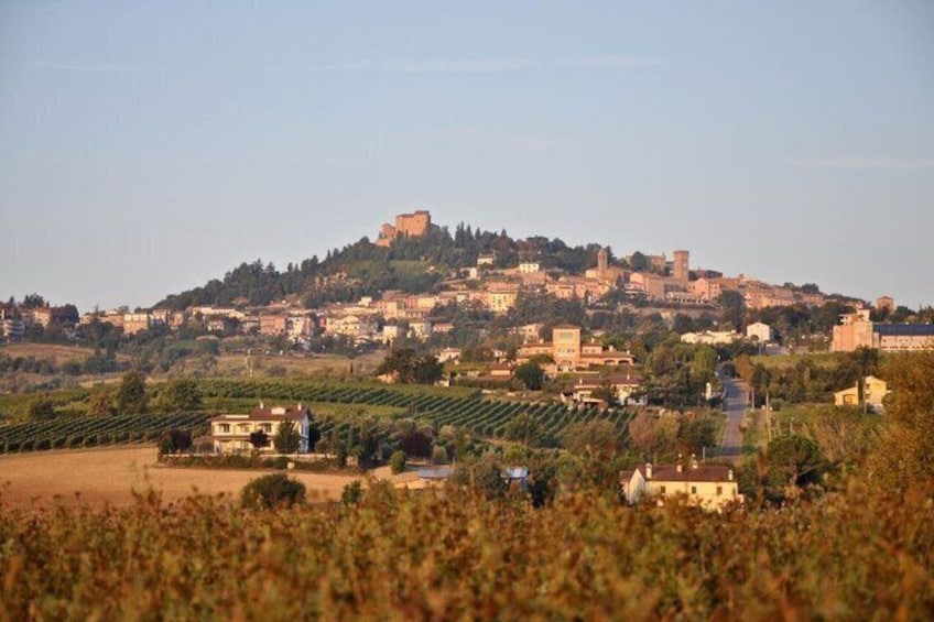 Discover Italian Wines at Tenuta La Viola with 6 Wine Tastings 2