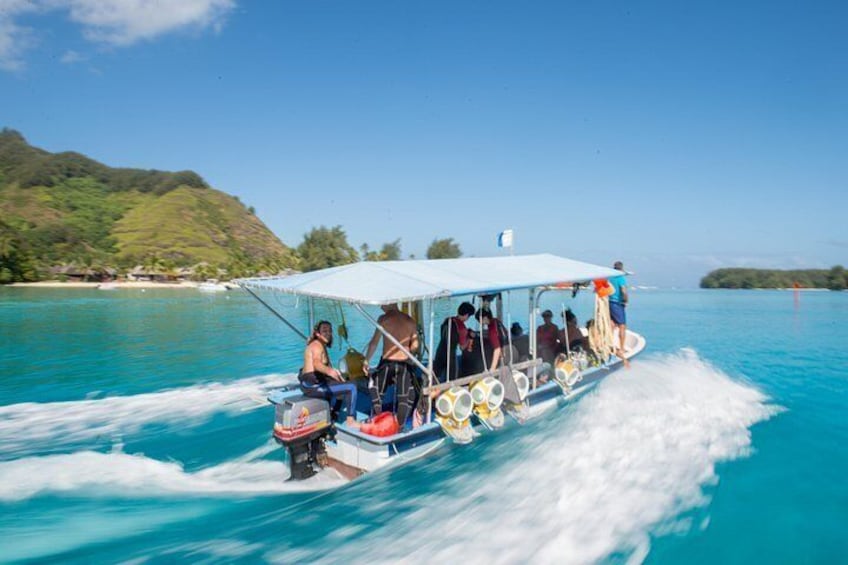 A boat with passengers, moving through turquoise water, surrounded by lush green hills. 4