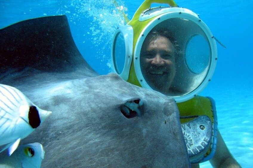 A person in a yellow submarine-like vehicle with a circular window, a large shark, and a stingray in clear blue water. 2