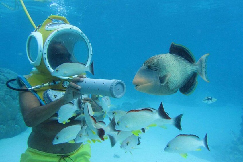 With Fishes 1