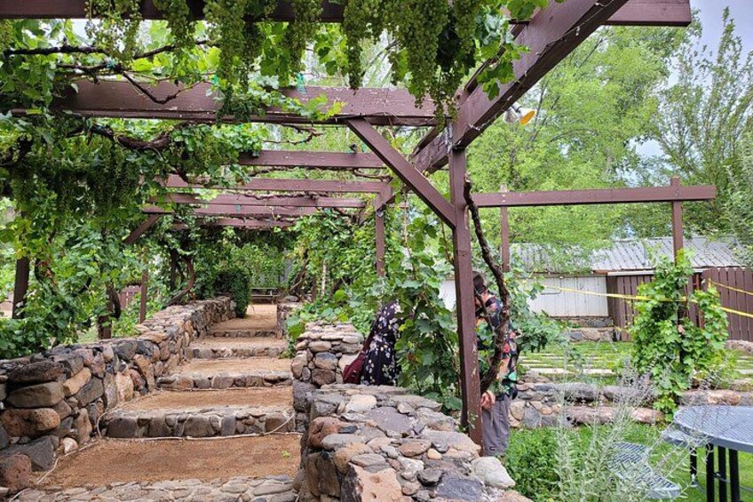 Private Wine Tour, Voted best in town, Tastings Included! 5