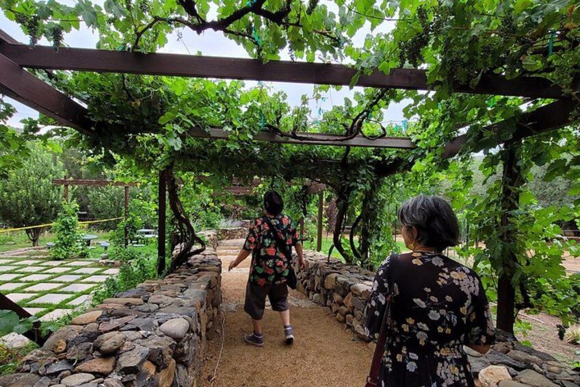 Private Wine Tour, Voted best in town, Tastings Included! 3