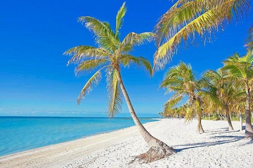 Key West VIP Private Tour | Tailor-Made | Luxury SUV 2