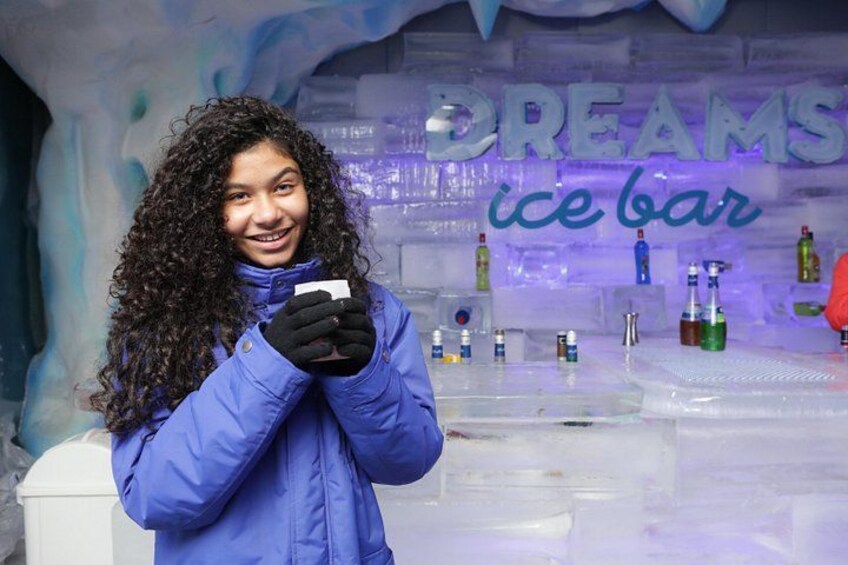Dreams Ice Bar 1