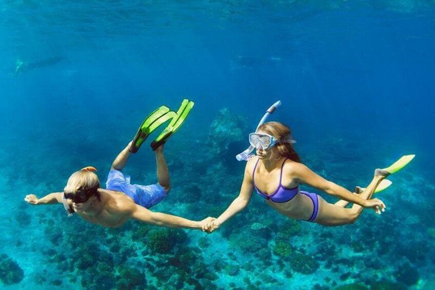 Snorkel at Palancar & Colombia Reefs 2