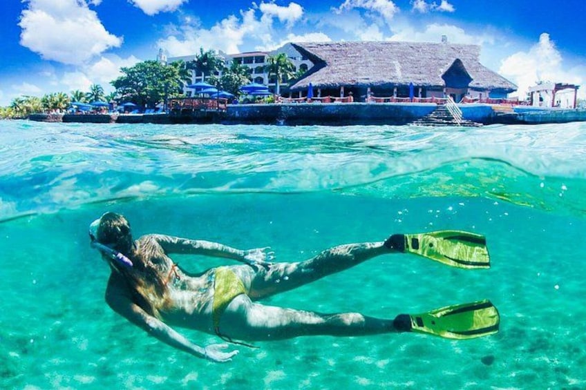 Snorkel at The Money Bar 4