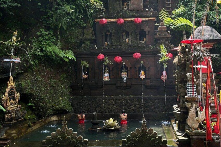 Purification Ceremony, Kehen Temple and Goa Raja Waterfall Tour 4