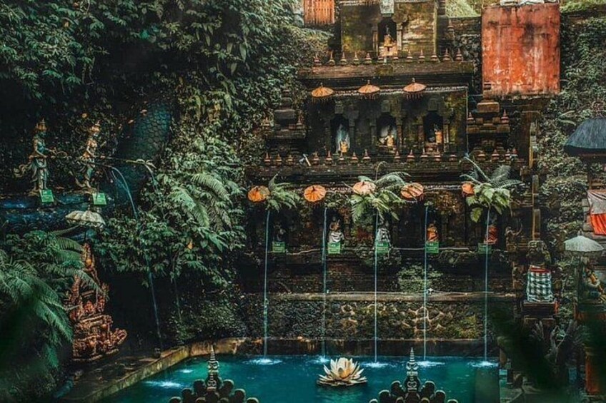 Purification Ceremony, Kehen Temple and Goa Raja Waterfall Tour 1