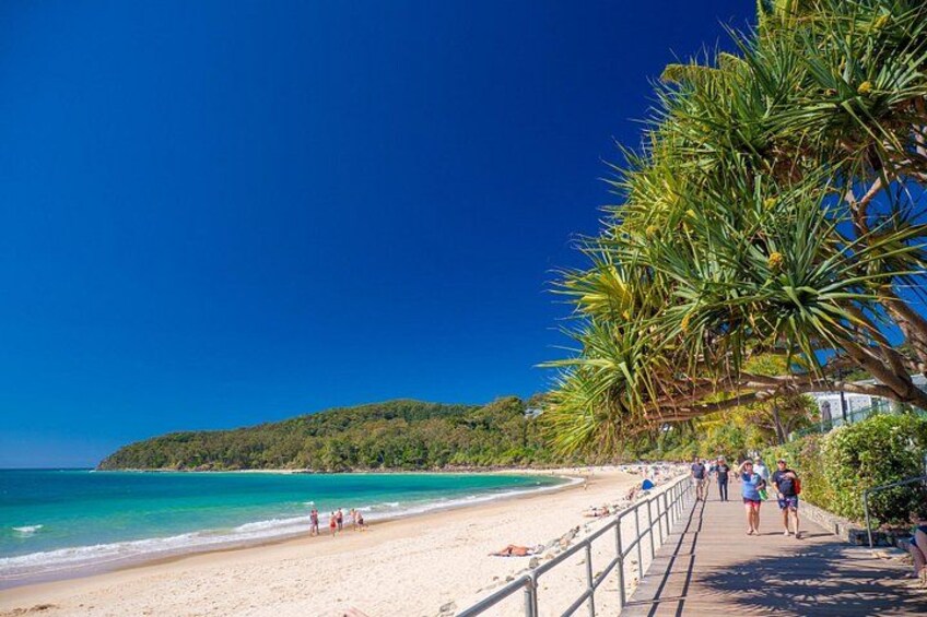 Noosa Heads Beach Side 1