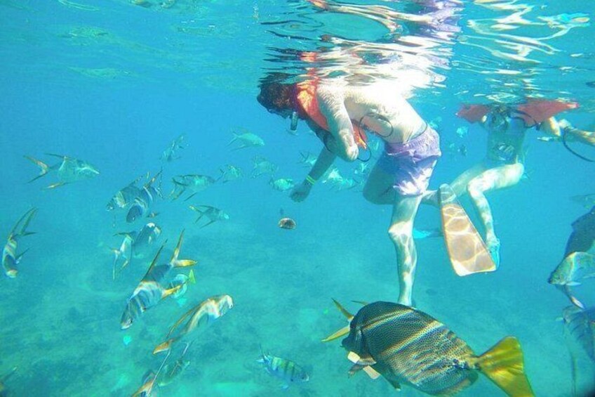 Beach Hopper 2-Stop Snorkeling Tour in Los Cabos 2