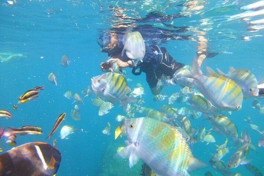 Beach Hopper 2-Stop Snorkeling Tour in Los Cabos 5