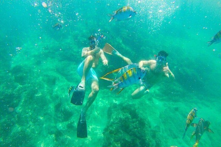 Beach Hopper 2-Stop Snorkeling Tour in Los Cabos 4