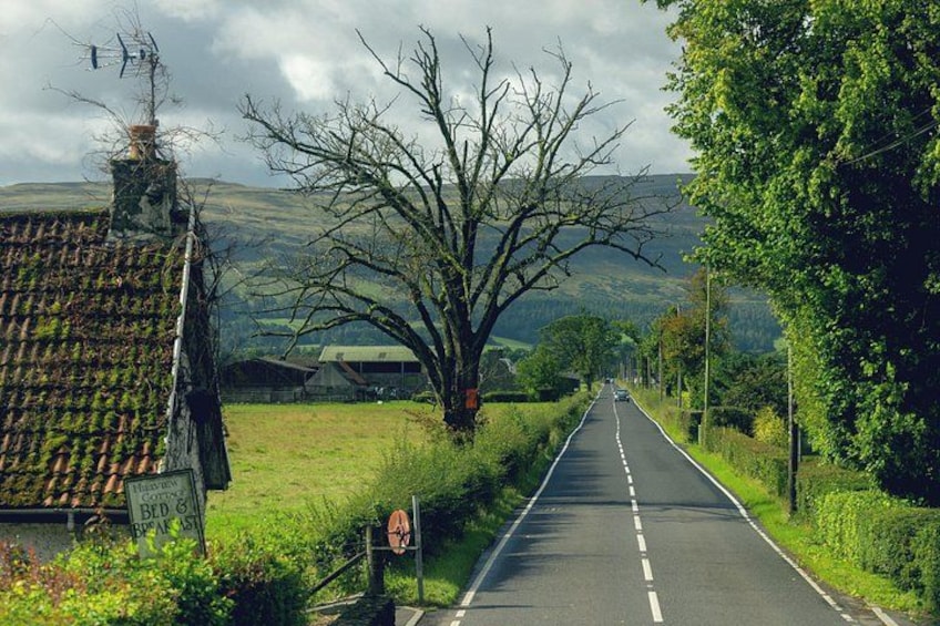 Hairy Coos and Highland Views: A Short-Day Escape from Edinburgh 3